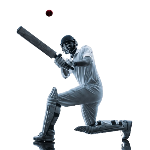 Cricket player